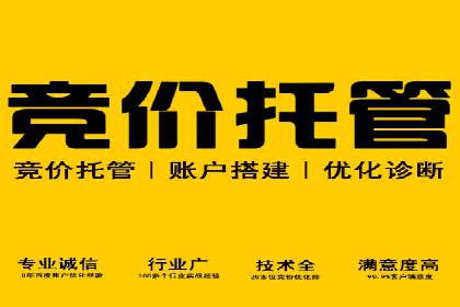 行业新秀的关键词竞价排名之路：快速崛起的案例